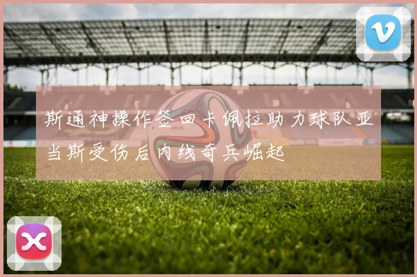 斯通神操作签回卡佩拉助力球队亚当斯受伤后内线奇兵崛起